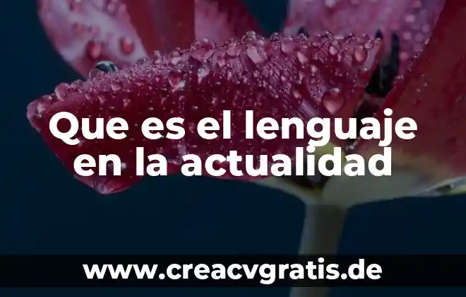 Que es la conciencia del lenguaje 6 Que es el lenguaje en la actualidad