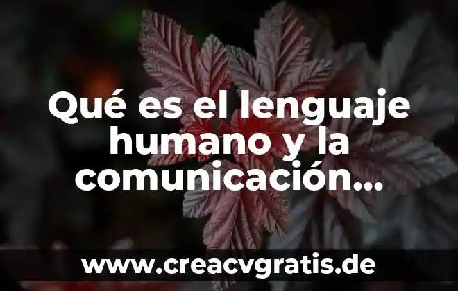 Para la política que es el ser humano 5 Qué es el lenguaje humano y la comunicación animal