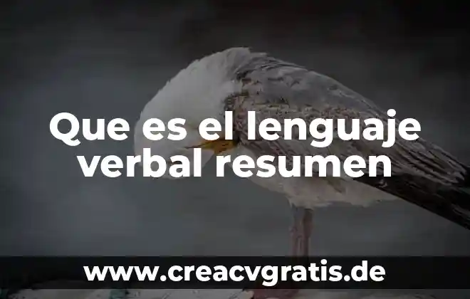 Que es aps en redes 3 Que es el lenguaje verbal resumen