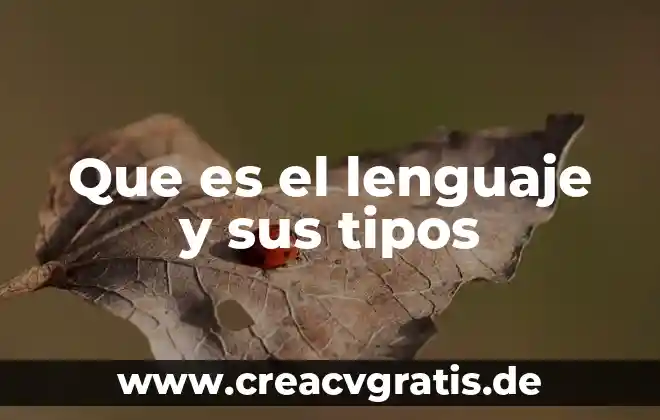Qué es un sistema de extracción de calor 4 Que es el lenguaje y sus tipos