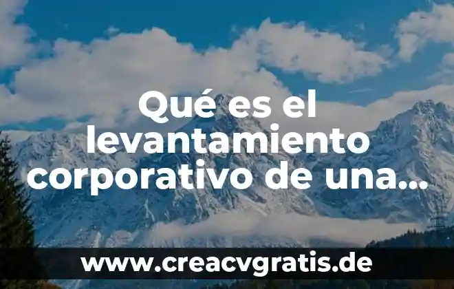 Qkl servicios s.a de c.v que es 7 Qué es el levantamiento corporativo de una s.a de c.v