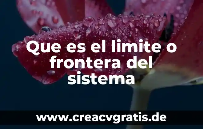 Que es un limite matematico ejemplo 7 Que es el limite o frontera del sistema