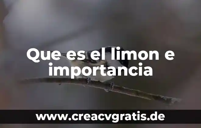 Fetiche del partido de limon que es 6 Que es el limon e importancia