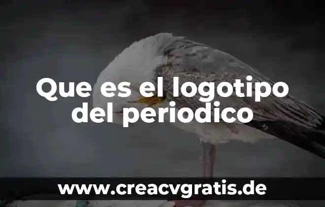 Que es la critica propositiva en un periodico 4 Que es el logotipo del periodico