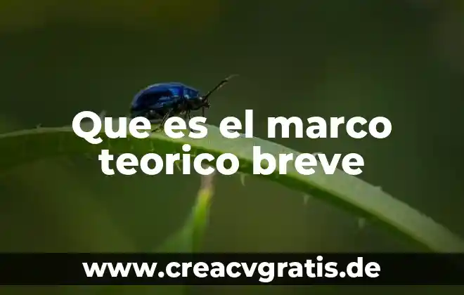 Que es el marco conceptual en una investigacion segun autores 8 Que es el marco teorico breve