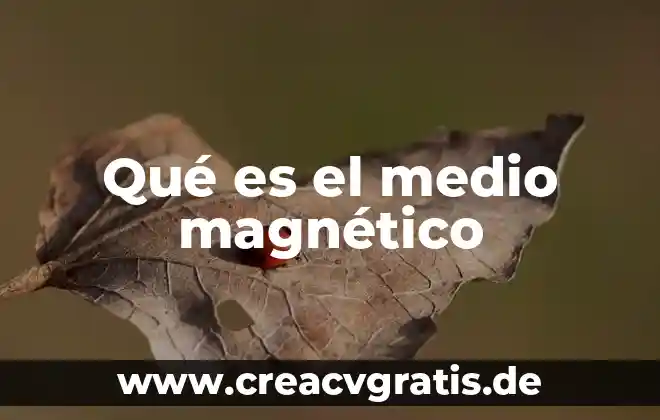 Que es un cargo magnético 3 Qué es el medio magnético