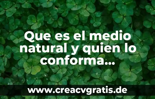 Que es un medio de contraste y sus tipos 6 Que es el medio natural y quien lo conforma animales