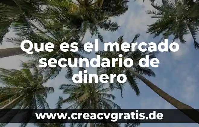 Qué es un estándar primario y secundario en titulación 5 Que es el mercado secundario de dinero