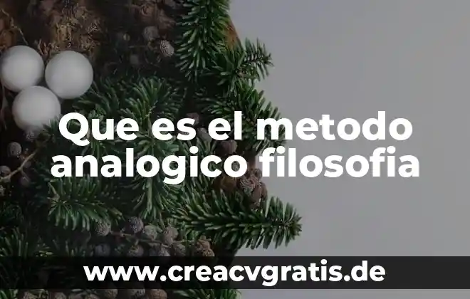 Que es principio no-directivo 5 Que es el metodo analogico filosofia