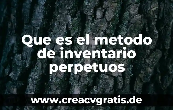 Que es inventario y tipos de inventario 8 Que es el metodo de inventario perpetuos