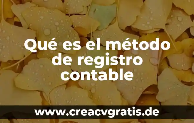 Qué es un flujograma del software contable 6 Qué es el método de registro contable