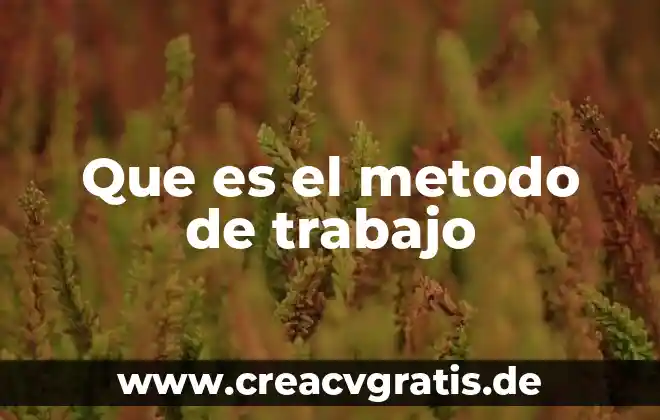 Que es trabajo de escritorio en tesis 5 Que es el metodo de trabajo