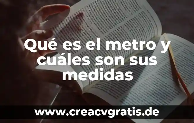 Línea del metro que es una bandera 4 Qué es el metro y cuáles son sus medidas