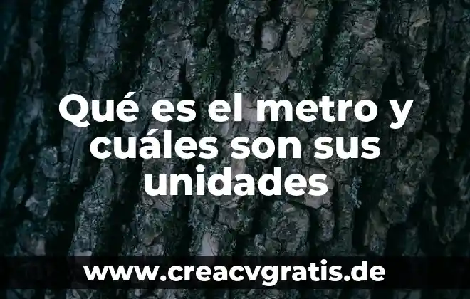 Línea del metro que es una bandera 7 Qué es el metro y cuáles son sus unidades