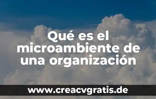 Que es una organizacion tecnica de una empresa 3 Qué es el microambiente de una organización