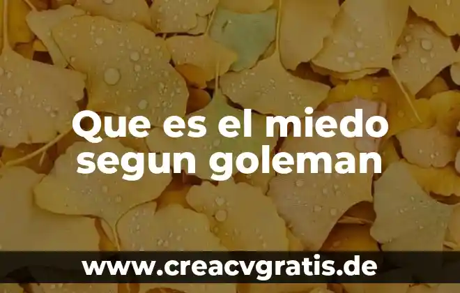 Que es la lógica según la ontología 7 Que es el miedo segun goleman