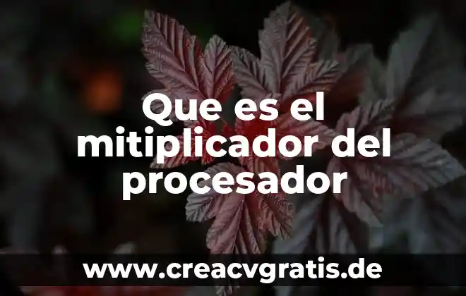 Qué es un extinguidor y sus tipos 5 Que es el mitiplicador del procesador