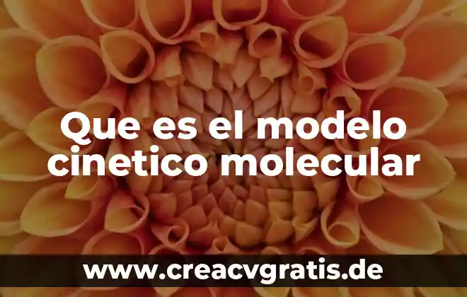 Qué es la teoría cinético molecular de los gases 5 Que es el modelo cinetico molecular