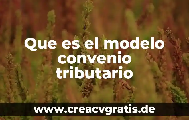 Que es un convenio en materia juridica 5 Que es el modelo convenio tributario