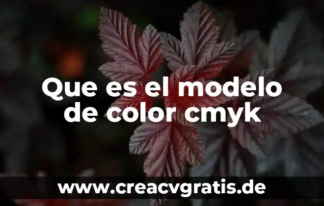 Que es color de combinacion de correspondencia en word 4 Que es el modelo de color cmyk
