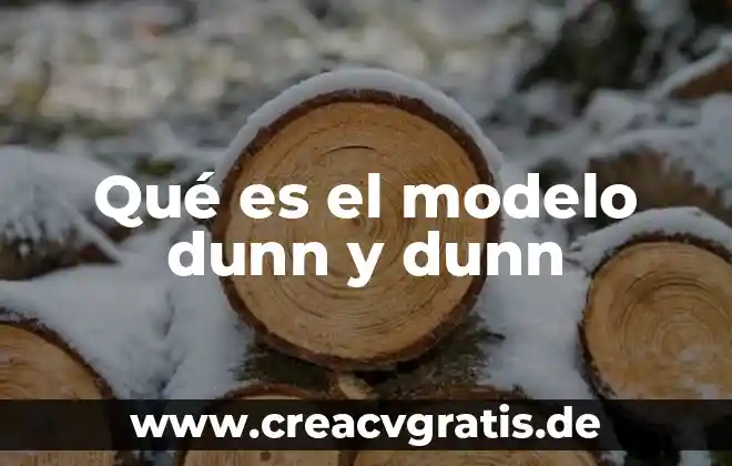 Que es un modelo en sketchup 4 Qué es el modelo dunn y dunn