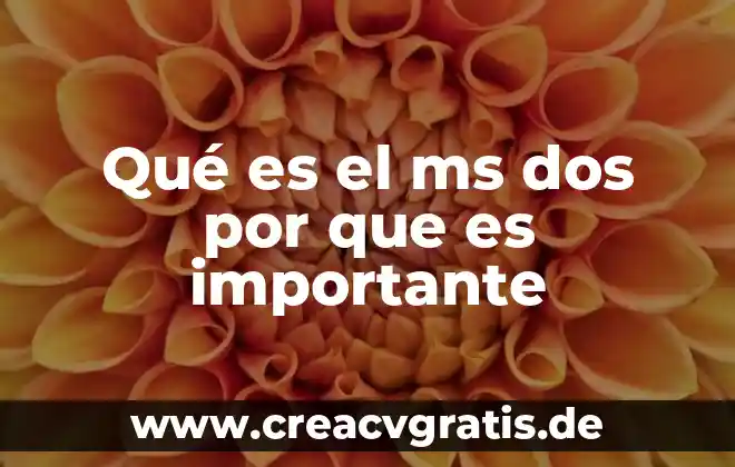 Por que es importante no caer en los productos milagros 3 Qué es el ms dos por que es importante