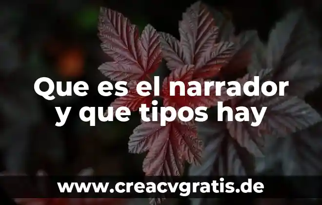 Que es la tipos de marcha diapositivas 4 Que es el narrador y que tipos hay