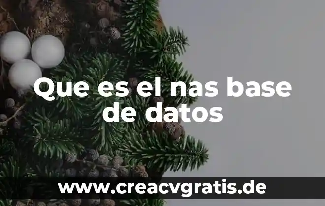 Que es estrella base de datos 8 Que es el nas base de datos