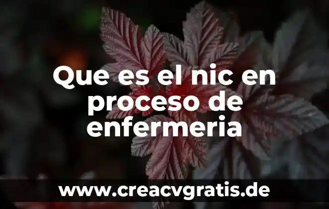 Que es nic noc y nanda en enfermeria 3 Que es el nic en proceso de enfermeria