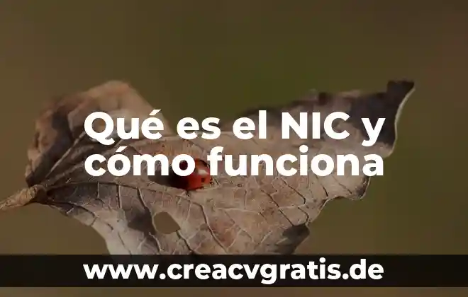 Que es nic noc y nanda en enfermeria 5 Qué es el NIC y cómo funciona