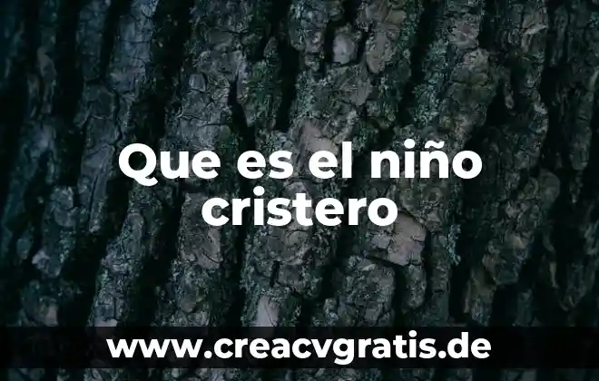 Qué es un reporte político ejemplo para niños 7 Que es el niño cristero