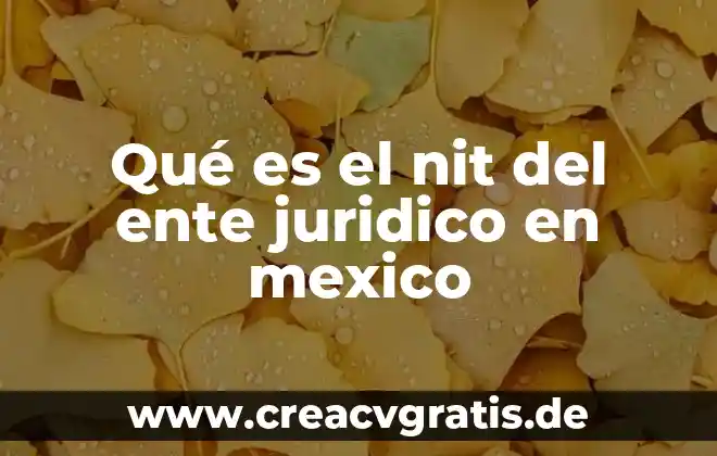 Que es estado termino juridico 5 Qué es el nit del ente juridico en mexico