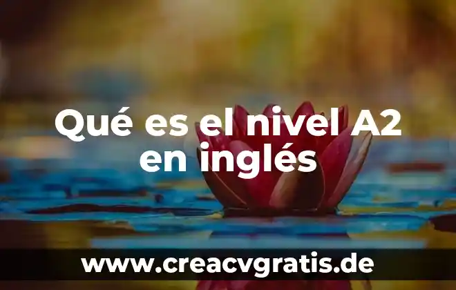 Que es bajo nivel en programacion 7 Qué es el nivel A2 en inglés