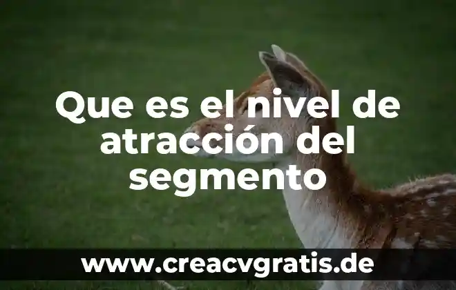 Que es bajo nivel en programacion 4 Que es el nivel de atracción del segmento