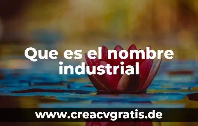 Que es el nombre de un documento 5 Que es el nombre industrial