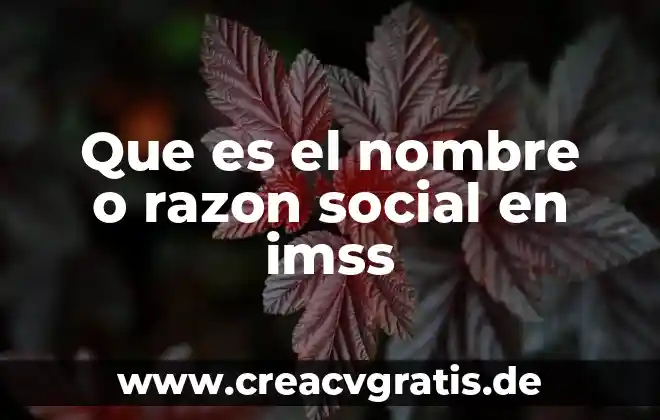 Que es nombre o razon social siendo persona fisica 8 Que es el nombre o razon social en imss