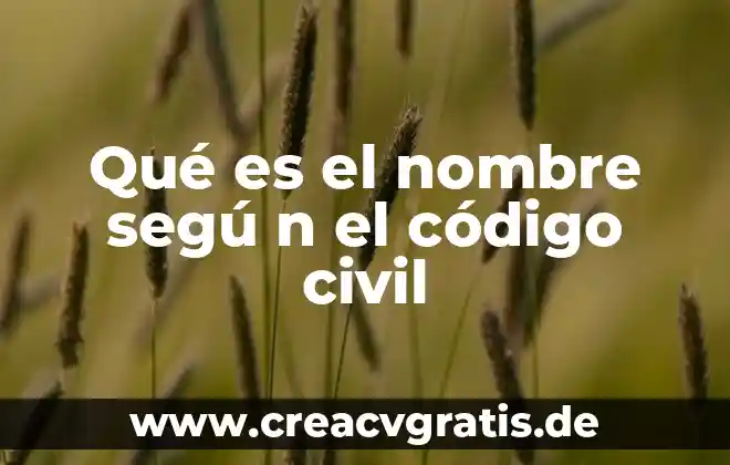 Qué es el código de seguridad de la tarjeta 7 Qué es el nombre segú n el código civil