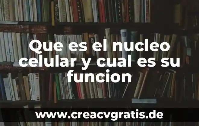 Que es entelequia significado 6 Que es el nucleo celular y cual es su funcion