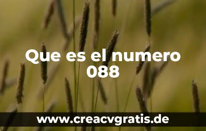 Qué es un número quebrado 6 Que es el numero 088