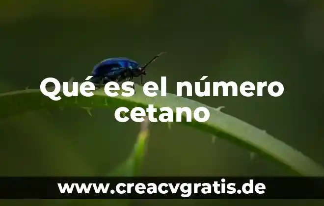 Qué es un clave primaria en informática 8 Qué es el número cetano