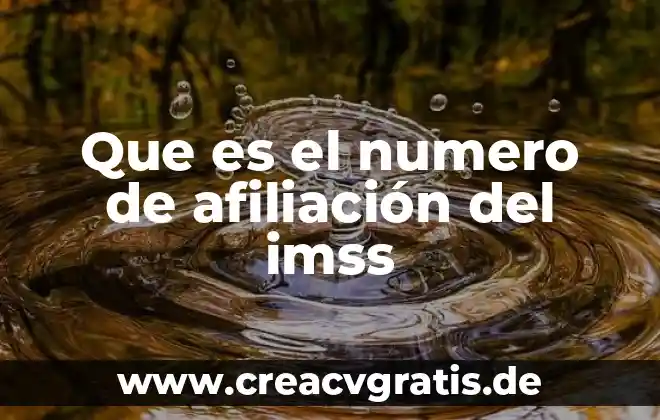 Pastilla número 209 que es 7 Que es el numero de afiliación del imss