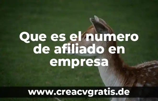 Qué es un número quebrado 7 Que es el numero de afiliado en empresa