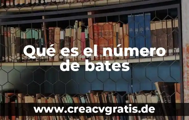 Qué es el número de IFE o INE vigente 7 Qué es el número de bates