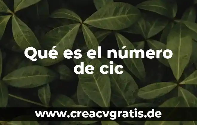 Número de casa que es 8 Qué es el número de cic