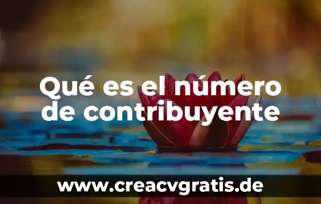 Numero de titular que es 8 Qué es el número de contribuyente