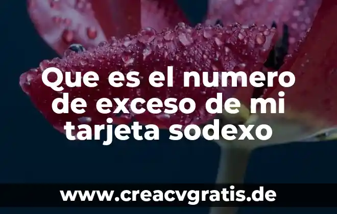 Nombre corto de tarjeta que es 8 Que es el numero de exceso de mi tarjeta sodexo