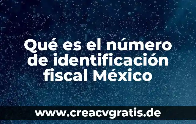 Qué es el tin número de identificación fiscal en México 6 Qué es el número de identificación fiscal México