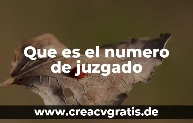 Qué es un número real y cómo se clasifican 5 Que es el numero de juzgado