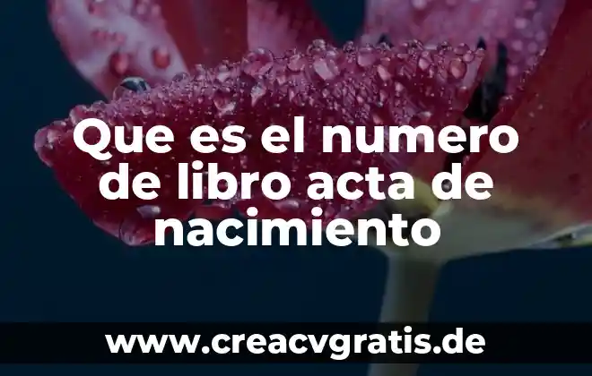 Que es el acta de nacimiento articulo de dugh 5 Que es el numero de libro acta de nacimiento