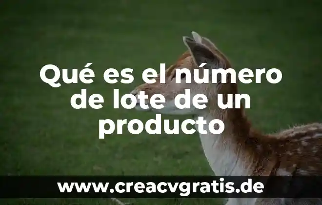 Número que es mi 8 Qué es el número de lote de un producto